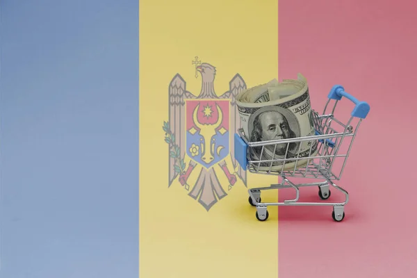 Metall Korg Med Stora Dollarsedlar Den Nationella Flaggan Moldova Bakgrund — Stockfoto