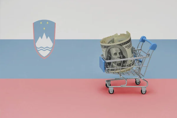 Корзина Металлических Покупок Большой Банкнотой Доллар Фоне Национального Флага Словении — стоковое фото