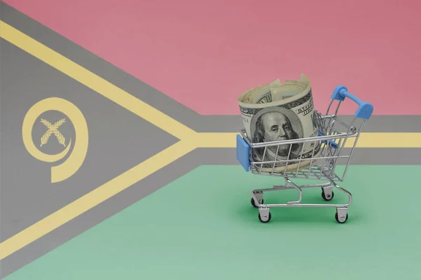 Einkaufskorb Aus Metall Mit Großer Dollarnote Auf Der Nationalflagge Vanuatus — Stockfoto
