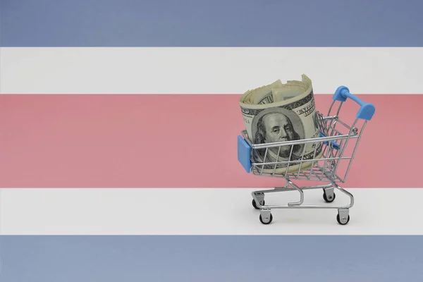 Einkaufskorb Aus Metall Mit Großer Dollarnote Auf Der Nationalflagge Costa — Stockfoto