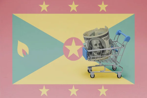 Корзина Металлических Покупок Крупными Банкнотами Государственном Флаге Гренады Концепция Потребительской — стоковое фото