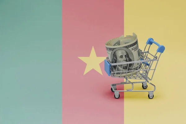 Einkaufskorb Aus Metall Mit Großer Dollarnote Auf Der Nationalflagge Kameruns — Stockfoto