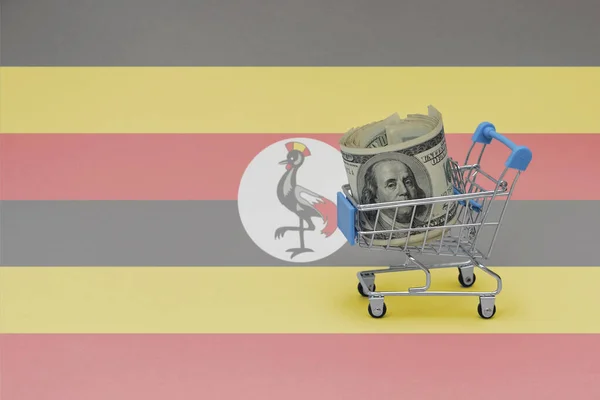 Einkaufskorb Aus Metall Mit Großer Dollarnote Auf Der Nationalflagge Ugandas — Stockfoto