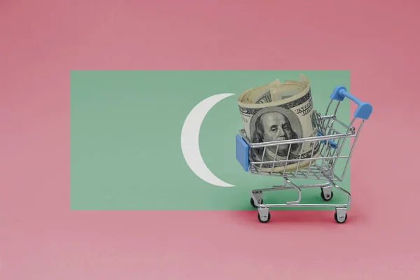 Kovový Nákupní Košík Velkou Dolarovou Bankovkou Národní Vlajce Malediv Pozadí — Stock fotografie
