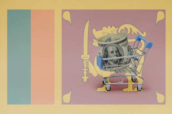 Metal Shopping Basket Big Dollar Money Banknote National Flag Sri — Stock Photo, Image