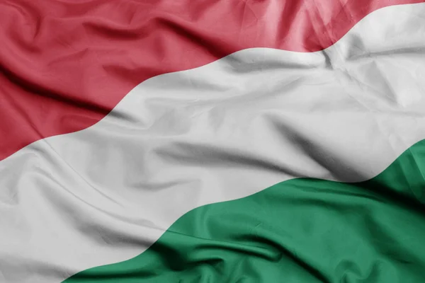 Hungary Makro Shot Renkli Ulusal Bayrağını Sallıyordu Illüstrasyon — Stok fotoğraf