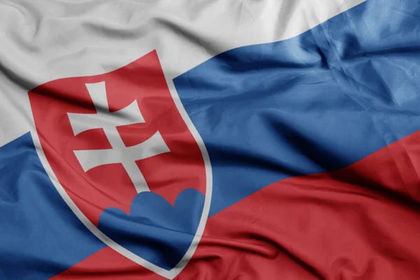 Slovakya Nın Renkli Ulusal Bayrağını Sallayarak Makro Çekim Illüstrasyon — Stok fotoğraf