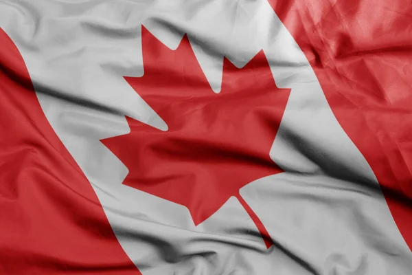 Machanie Kolorowe Flagi Narodowej Kanady Makro Shot Ilustracja — Zdjęcie stockowe