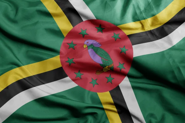 Dominica Nın Renkli Ulusal Bayrağını Sallıyordu Illüstrasyon — Stok fotoğraf