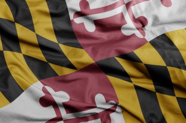 Maryland eyaletinin renkli bayrağını sallıyor.Makro çekim. 3B illüstrasyon