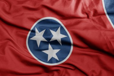 Tennessee eyaletinin renkli bayrağını sallıyor.Makro çekim. 3B illüstrasyon