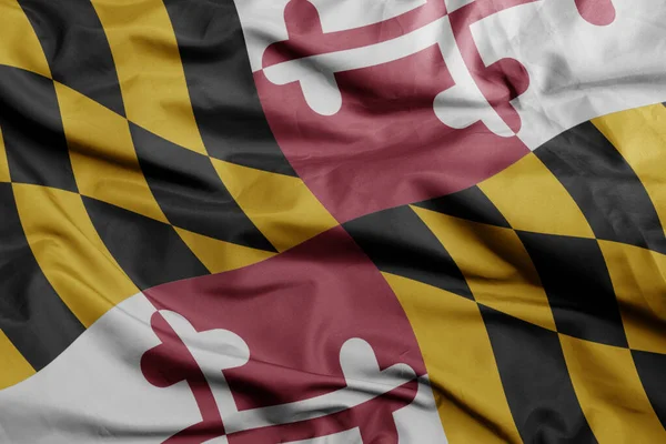 Mávání Barevnou Vlajkou Státu Maryland Makro Záběr Ilustrace — Stock fotografie
