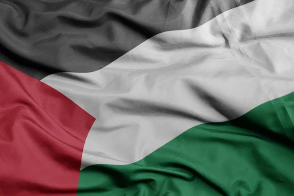 Ondeando Colorida Bandera Nacional Palestina Macro Disparo Ilustración —  Fotos de Stock