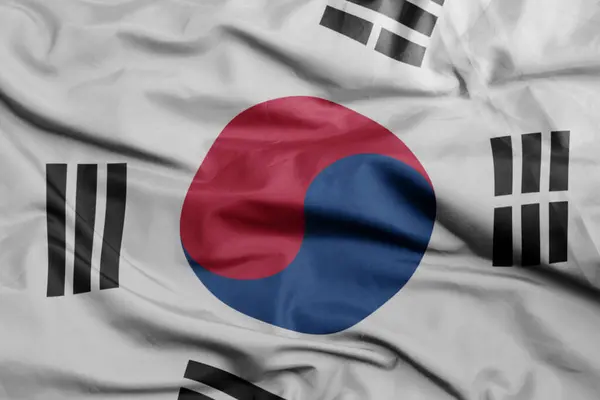 Махаючи Барвистим Національним Прапором Південної Кореї Macro Постріл Ілюстрація — стокове фото