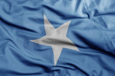 Somali 'nin renkli ulusal bayrağını sallıyordu. Makro çekim. 3B illüstrasyon