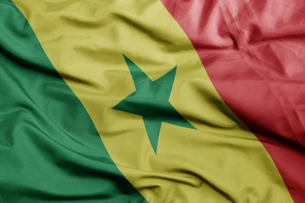 Waving Colorful National Flag Senegal Macro Shot Illustration — Stock Photo, Image