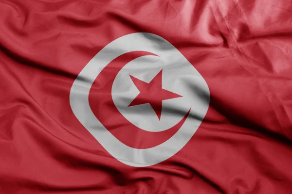 Lengeti Színes Nemzeti Zászló Tuniszia Makró Lövés Illusztráció — Stock Fotó