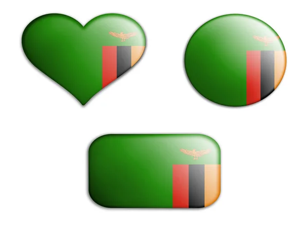 Färgglada Nationella Konst Flagga Zambia Figurer Bottnar Vit Bakgrund Konceptkollage — Stockfoto