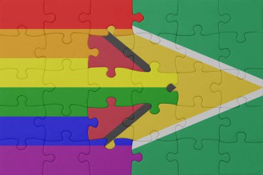 Gökkuşağı bayrağı eşcinsellik gururu ve guyana bulmacası. Makro. Kavram. 3d illüstrasyon