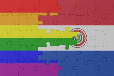 Gökkuşağı bayrağı eşcinsellik gururu ve paraguay yapbozu. Makro. Kavram. 3d illüstrasyon