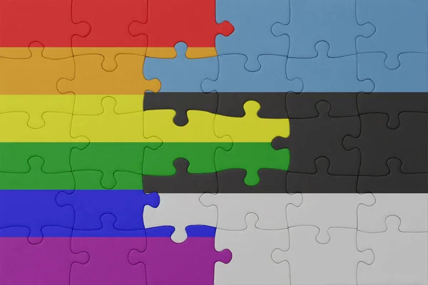 Puzzle Flag Rainbow Gay Pride Estonia Macro Concept Illustration — Stock Photo, Image