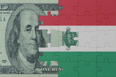 Hungary ve dolar banknotlarının ulusal bayrağıyla bulmaca. Makro. Kavram. 3d illüstrasyon