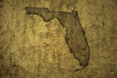 Florida eyaletinin haritası eski bir çatlak kağıt arka planında. 3d illüstrasyon