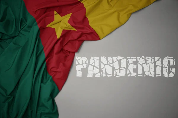 Zwaaiende Kleurrijke Nationale Vlag Van Kameroen Een Grijze Achtergrond Met — Stockfoto