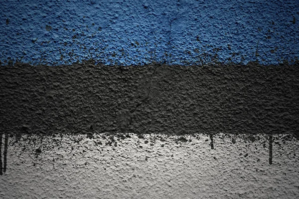 Красочный Раскрашенный Большой Национальный Флаг Эстонии Массивной Старой Потрескавшейся Стене — стоковое фото
