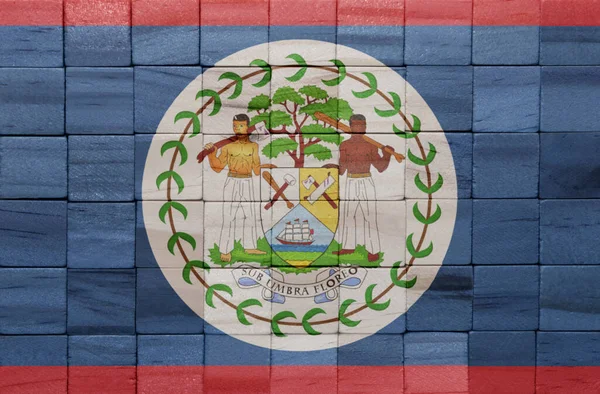 Kleurrijke Geschilderde Grote Nationale Vlag Van Belize Een Houten Kubussen — Stockfoto