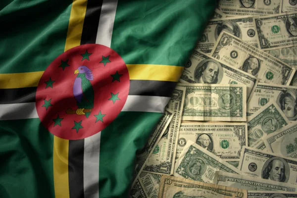Grand Drapeau National Coloré Agitant Dominica Sur Fond Argent Dollar — Photo