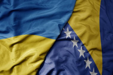 Ukrayna, Bosna ve Herzegovina 'nın ulusal bayrağını sallıyor. makro