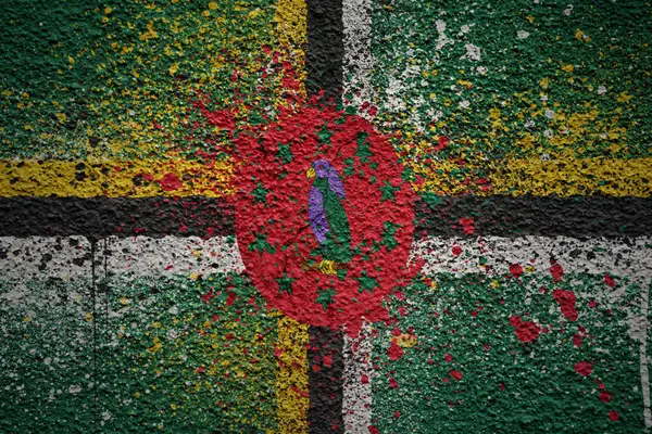 Colorido Pintado Gran Bandera Nacional Dominica Una Pared Agrietada Viejo — Foto de Stock