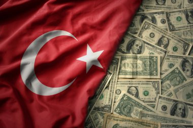 Amerikan dolarının arka planında büyük renkli bir hindi bayrağı sallıyor. finans kavramı