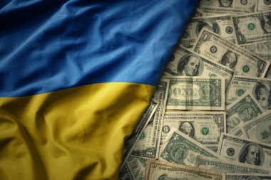 Ukrayna 'nın ulusal bayrağını Amerikan dolarının arka planında sallayan büyük renkli bir bayrak. finans kavramı