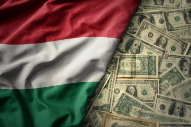 Amerikan dolarının arka planında, Hungary 'nin ulusal bayrağını sallayan büyük bir renk. finans kavramı
