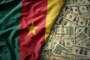 Amerikan dolarının arka planında ulusal kamerun bayrağını sallayan büyük bir renk. finans kavramı