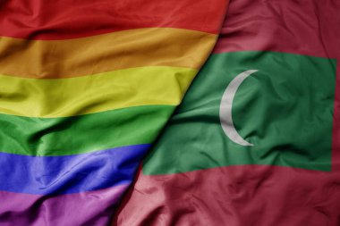 Maldivler ve gökkuşağı eşcinsellik bayrağı dalgalanan büyük gerçekçi ulusal bayrak. makro
