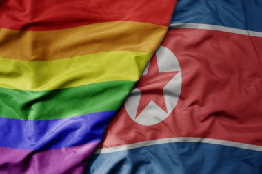 Kuzey Kore ve gökkuşağı eşcinsellik bayrağının büyük ve gerçekçi ulusal bayrağını sallıyor. makro