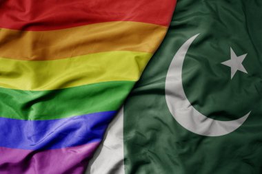 Pakistan 'ın ulusal renkli bayrağı ve gökkuşağı eşcinsellik gururu bayrağı sallanıyor. makro