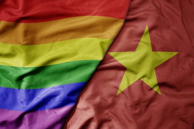 Vietnam 'ın ulusal renkli bayrağı ve gökkuşağı eşcinsellik bayrağı sallanıyor. makro