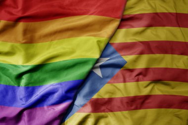 Katalonya ve gökkuşağı eşcinsellik bayrağının gerçekçi ulusal bayrağını sallıyor. makro