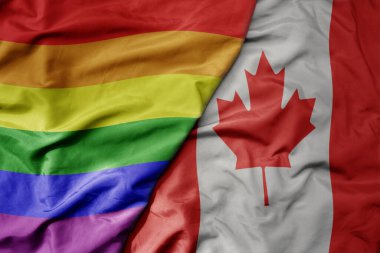 Kanada ve gökkuşağı eşcinsellik bayrağının büyük, gerçekçi ulusal bayrağını sallıyor. makro