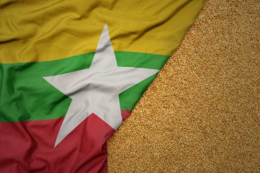 Myanmar .makro çekiminin büyük bayrağında sallanan buğday taneleri..