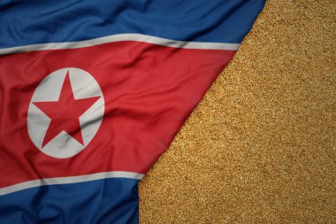 Kuzey Kore 'nin renkli bayrağında buğday tanecikleri..