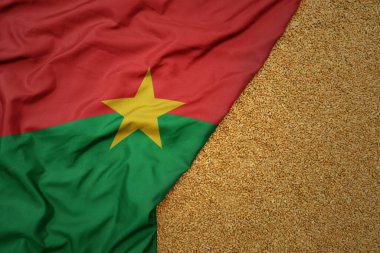 Burkina faso 'nun sallanan büyük ulusal bayrağında buğday taneleri. Makro çekim..