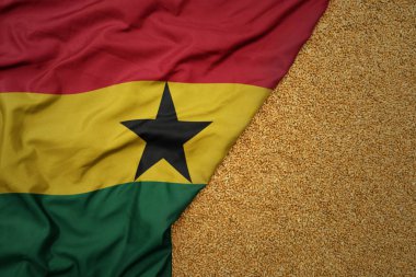 Gana 'nın büyük ulusal bayrağında sallanan buğday tanecikleri..