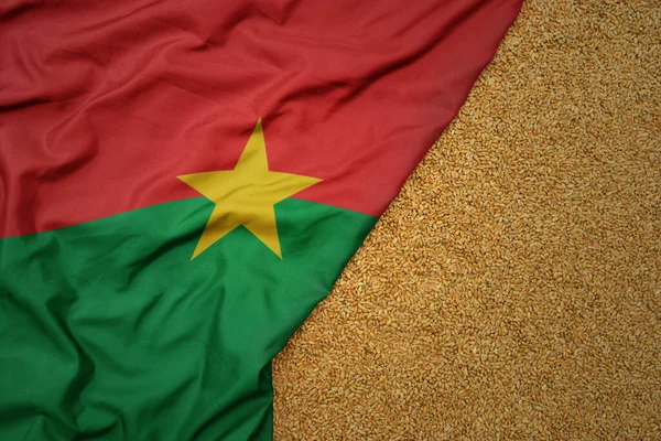 Пшеничне Зерно Махаючому Барвистому Великому Національному Прапорі Буркіна Фасо Macro Стокове Фото