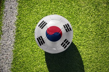 Güney Kore 'nin ulusal bayrağını taşıyan futbol topu beyaz çizginin yanındaki yeşil sahada.