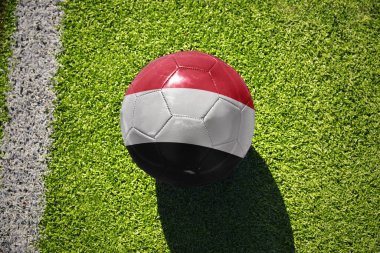 Beyaz çizginin yanındaki yeşil alanda milli bayrak taşıyan futbol topu.